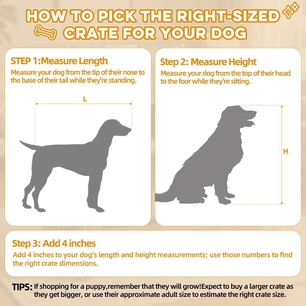 Instructions on how to pick the right-sized crate for a dog with measurements and tips.